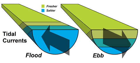 Tidal Currents Diagram