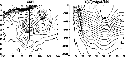 initial_eddy.gif (5467 bytes)