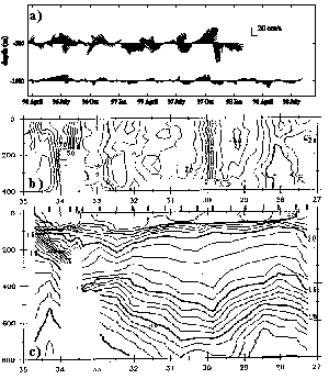 observation.gif (6399 bytes)