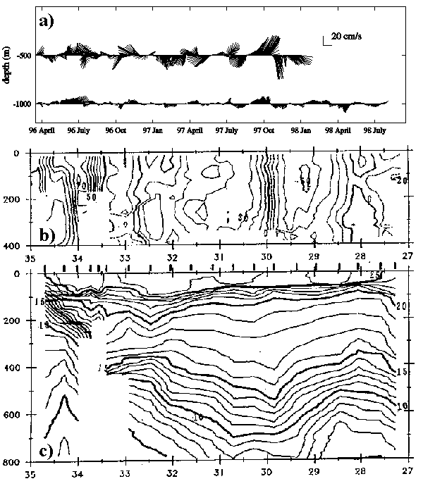 observation_HUGE.gif (18469 bytes)